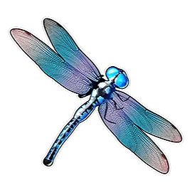 Dragonfly symbol